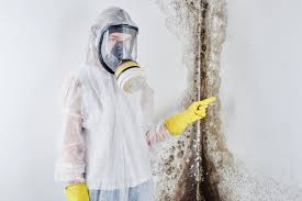 Professional Mold Inspection in Monongah, WV